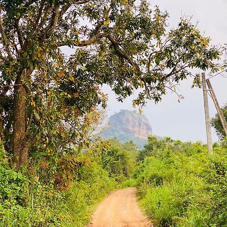 Hotel Sigiriya Kele Exterior photo
